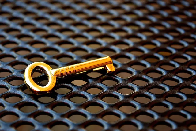 key, gold, golden key, to graduate, security, key, key, key, golden key, golden key, golden key, golden key, golden key. Planning a stable advertising data identifier
